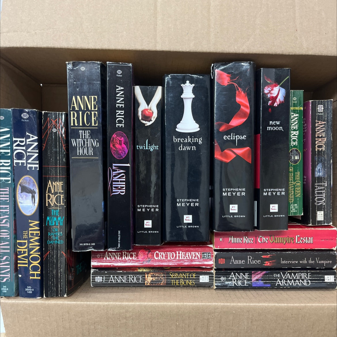 Anne Rice Book store Bundle