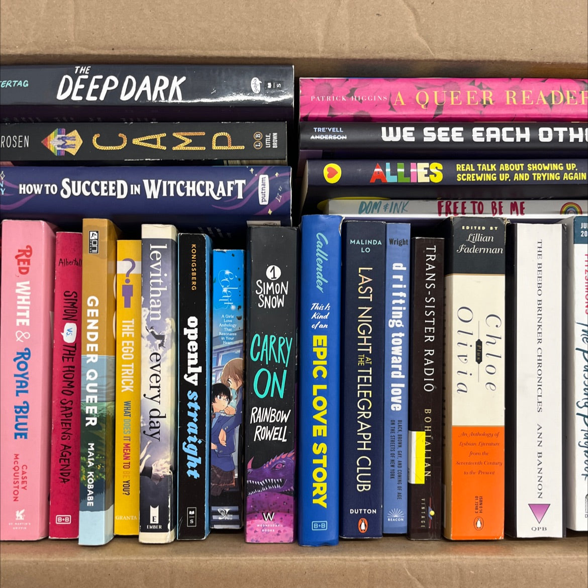 LGBTQIA+ Fiction outlet books bundle