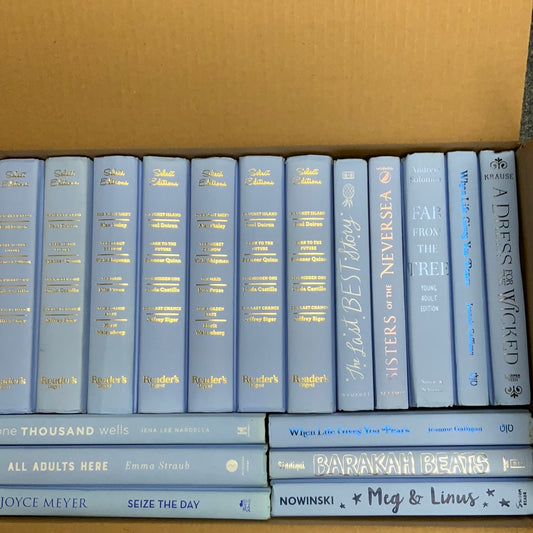 Modern Powder Blue: Rare Shade, 2 Feet- Books by Color