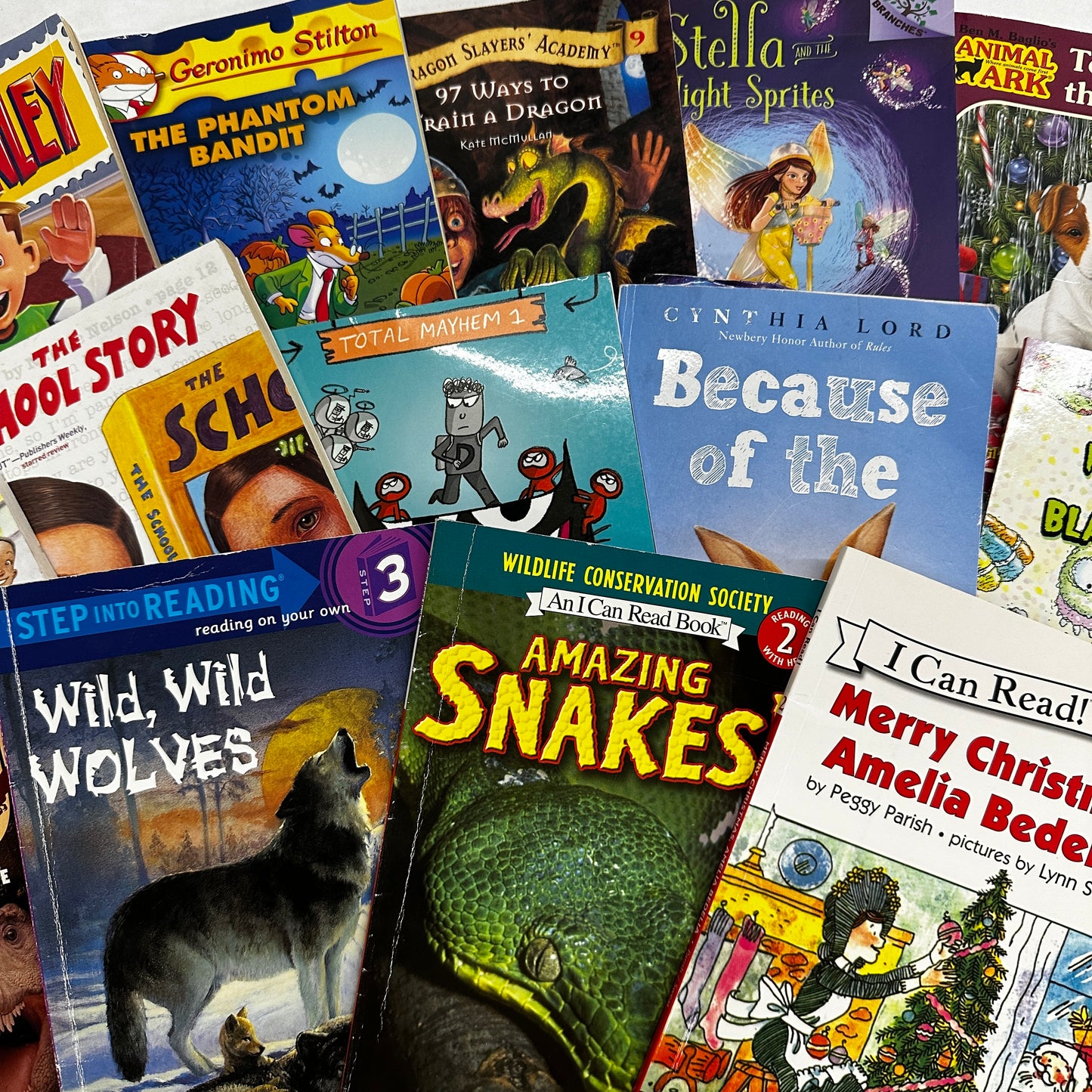 K-3 Scholastic AND MORE book box (ages 6-9)