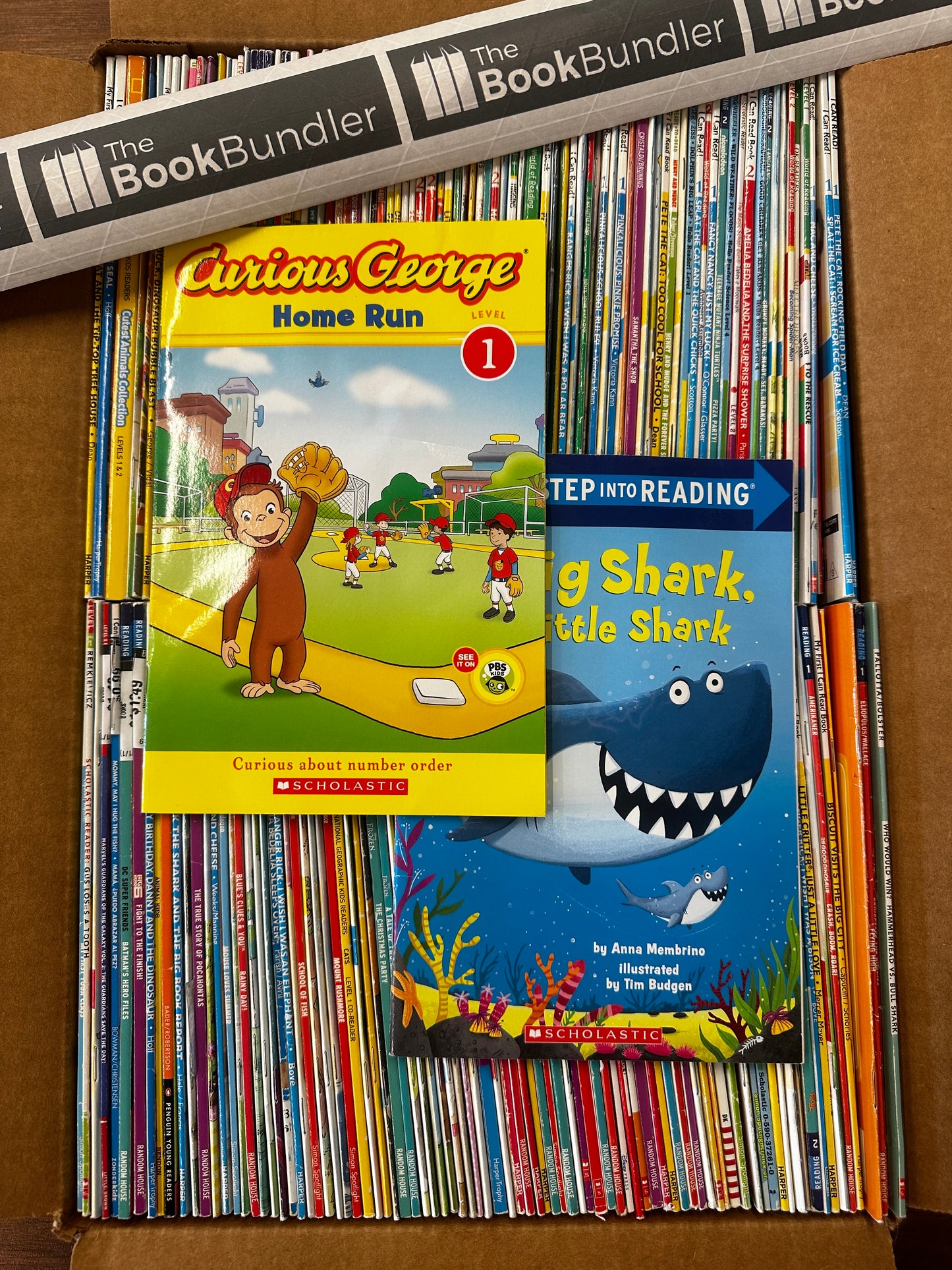 Leveled Reader Book Box (Ages 4-8)