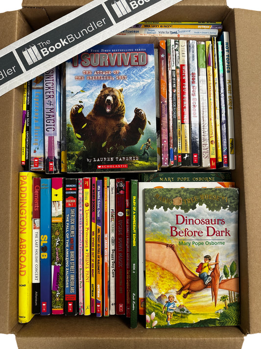 Chapter Book Box (ages 7-12)