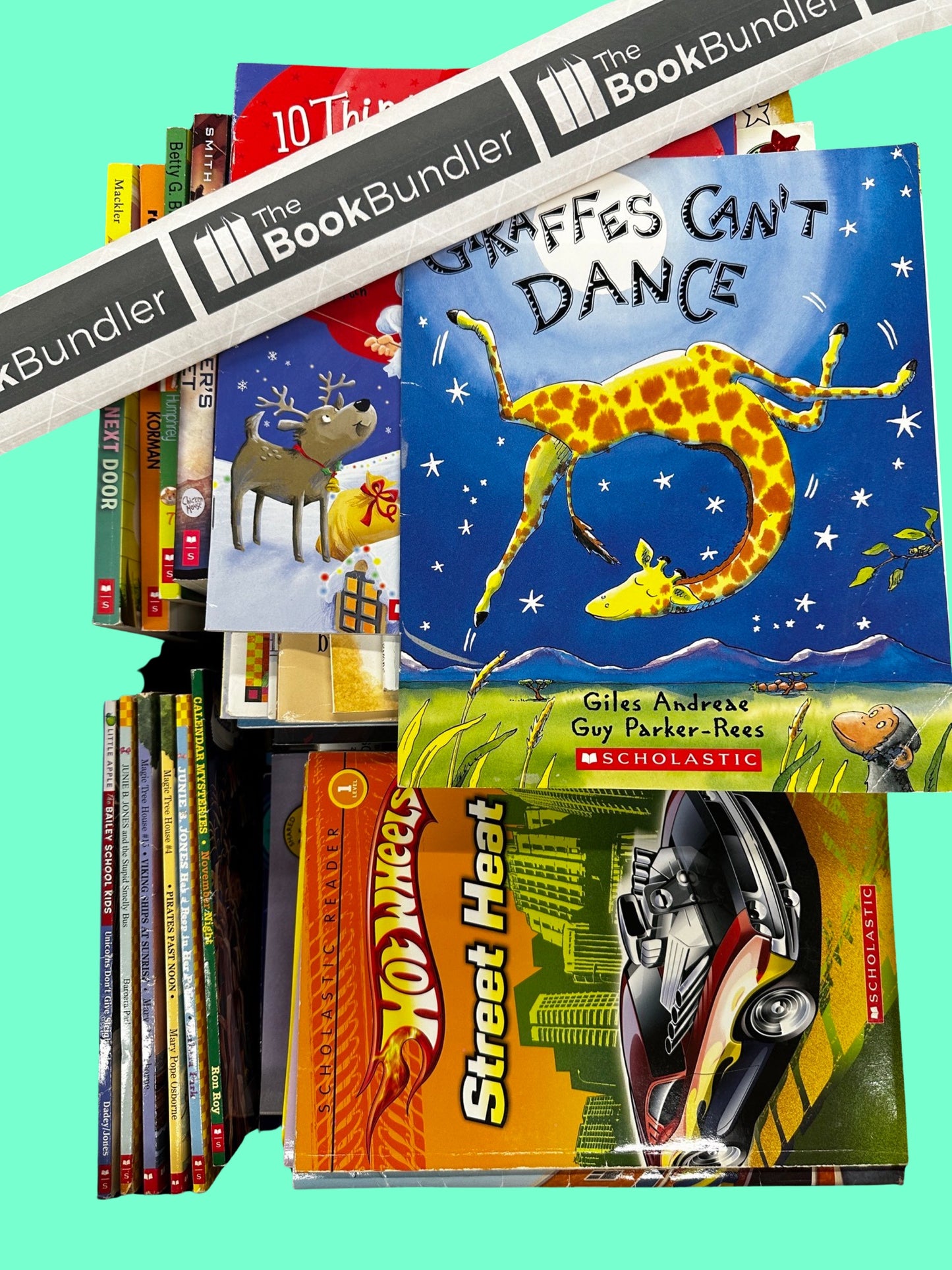 K-3 Scholastic AND MORE book box (ages 6-9)