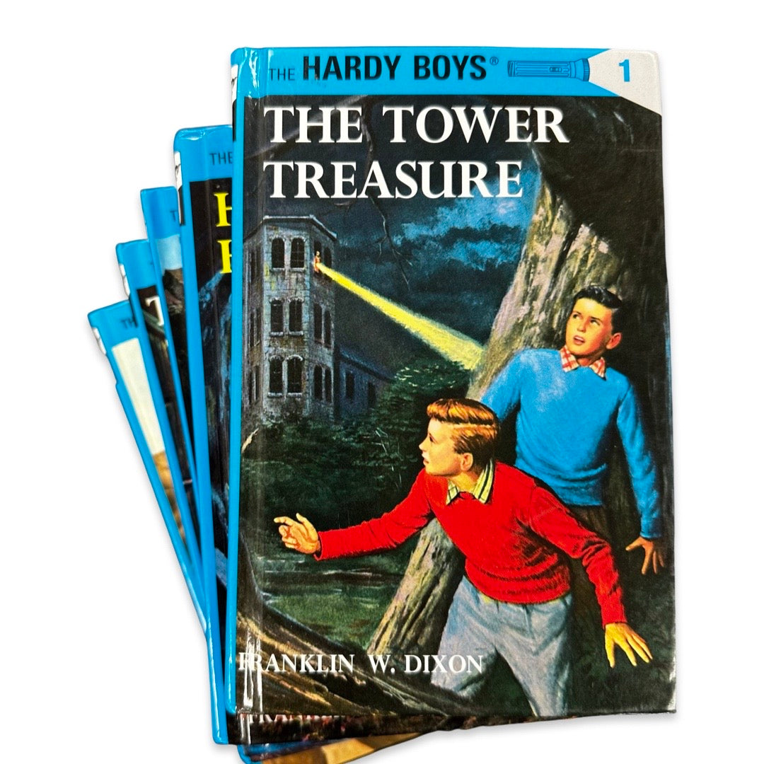 Hardy Boys Chapter Books - The Book Bundler – TheBookBundler