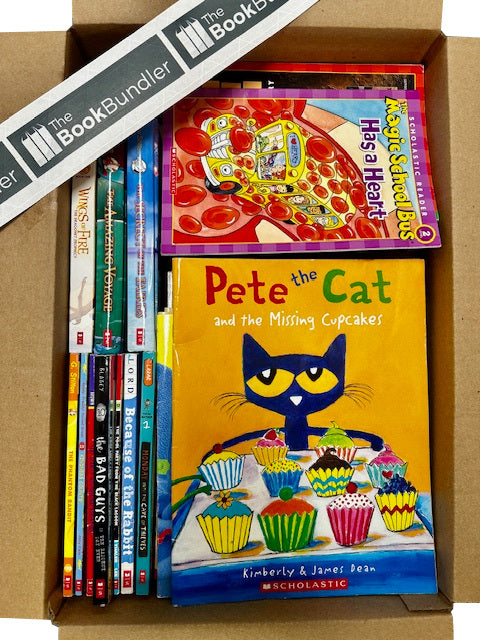 K-3 Scholastic AND MORE book box (ages 6-9)