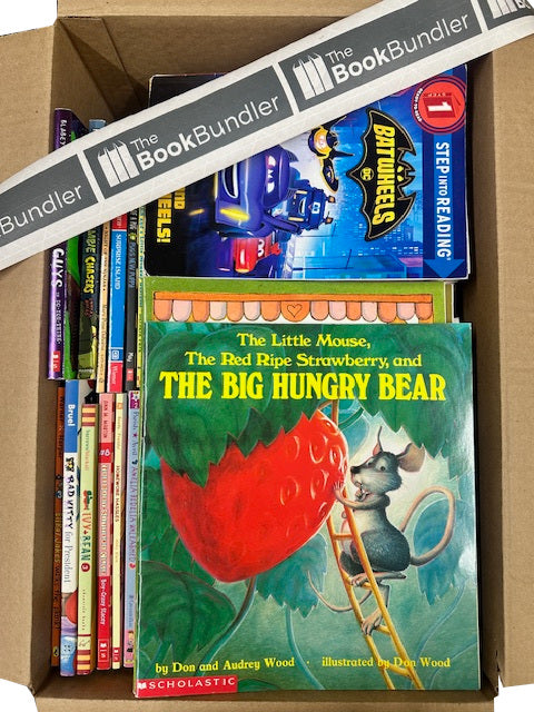 K-3 Scholastic AND MORE book box (ages 6-9)