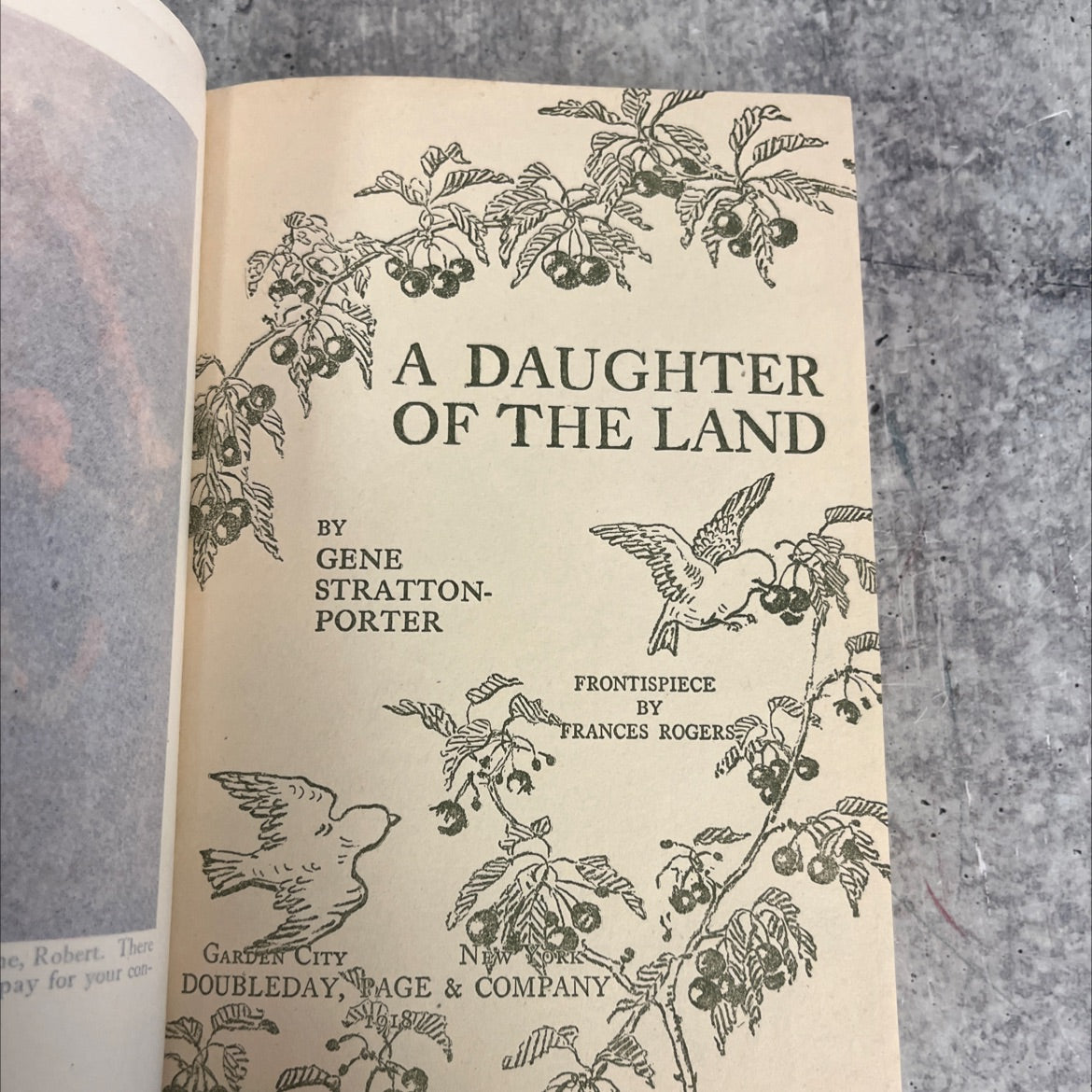 a daughter of the land book, by gene stratton-porter, 1918 Hardcover image 2