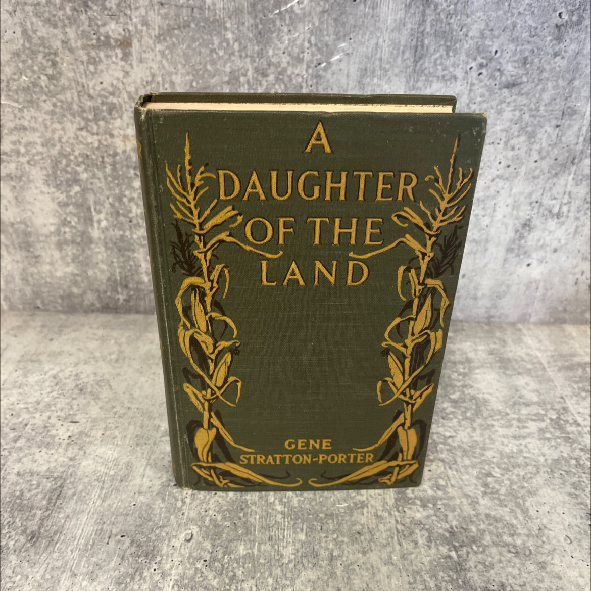 a daughter of the land book, by gene stratton-porter, 1918 Hardcover image 1