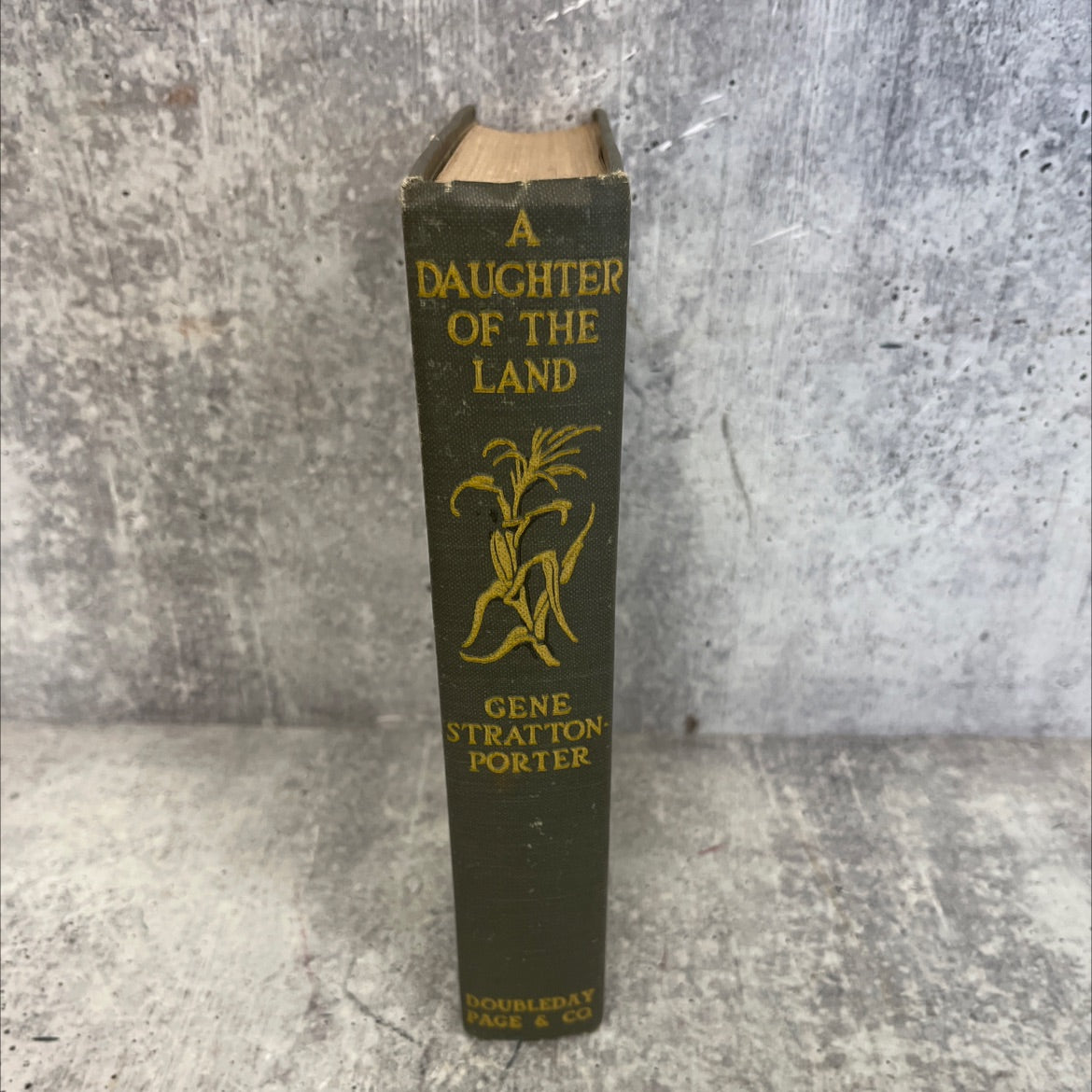 a daughter of the land book, by gene stratton-porter, 1918 Hardcover image 4