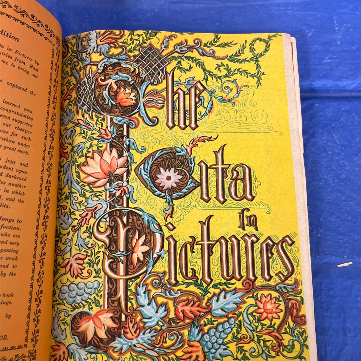 a in pictures book, by unknown, unknown Hardcover image 2