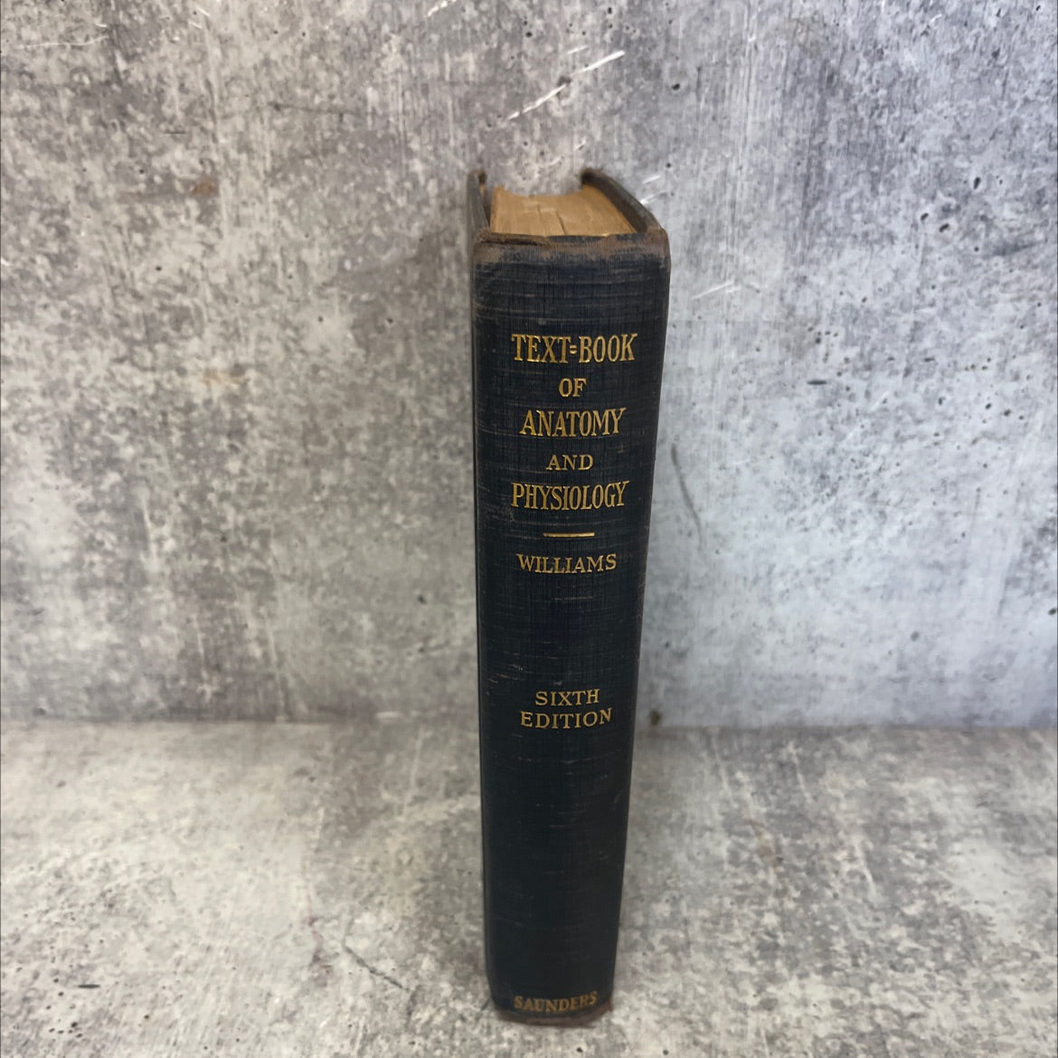 a textbook of anatomy and physiology book, by jesse feiring williams, 1939 Hardcover image 1