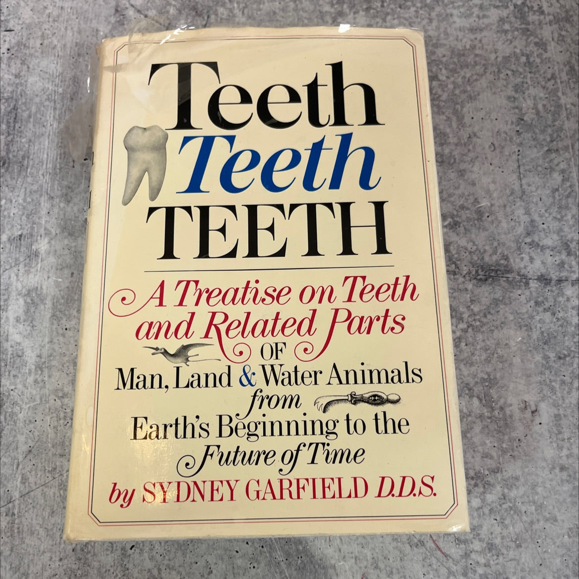 a treatise on teeth and related parts of man, an animals water from earth's beginning to the future of time teeth teeth image 1