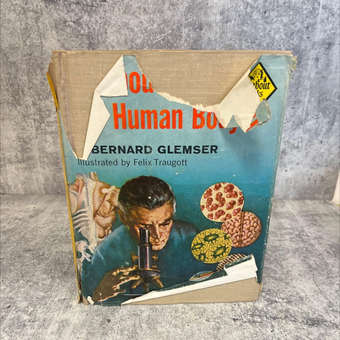 all about the human body book, by Bernard Glemser, 1958 Hardcover, Vintage image 1