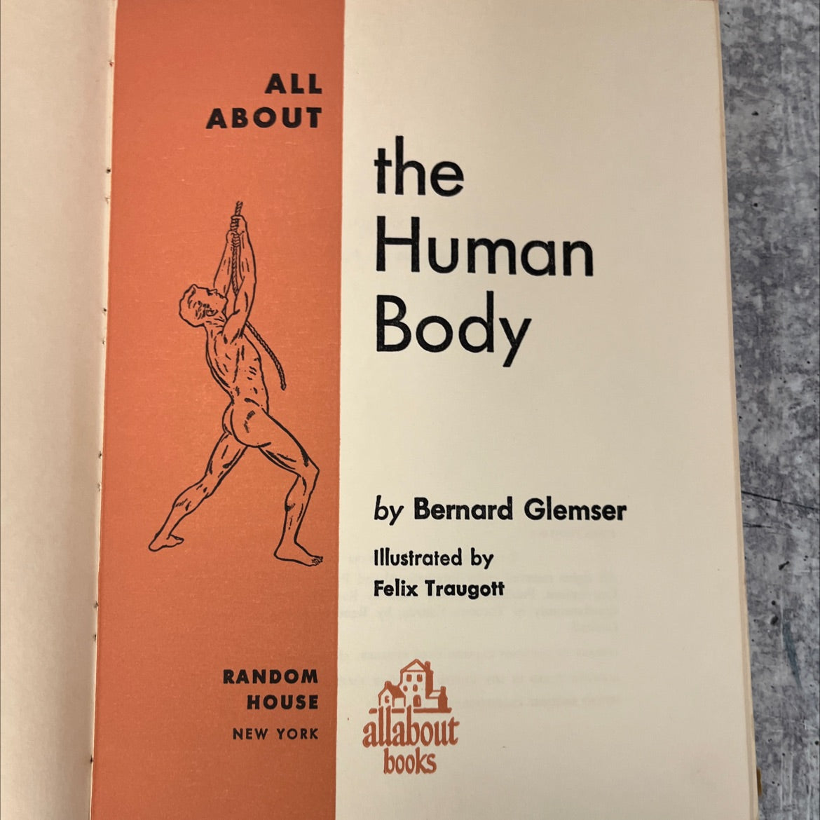 all about the human body book, by Bernard Glemser, 1958 Hardcover, Vintage image 2