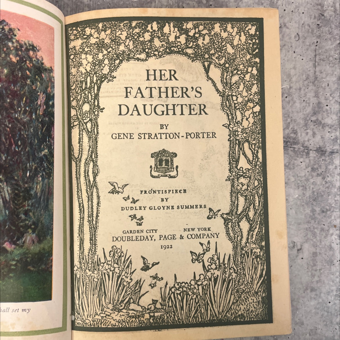 all set my father's daughter book, by gene stratton-porter, 1922 Hardcover, Rare, Antique image 2