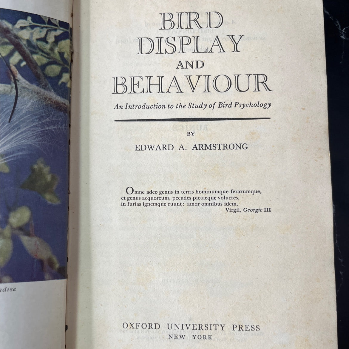 bird display and behaviour an introduction to the study of bird psychology book, by edward a. armstrong, 1947 image 2