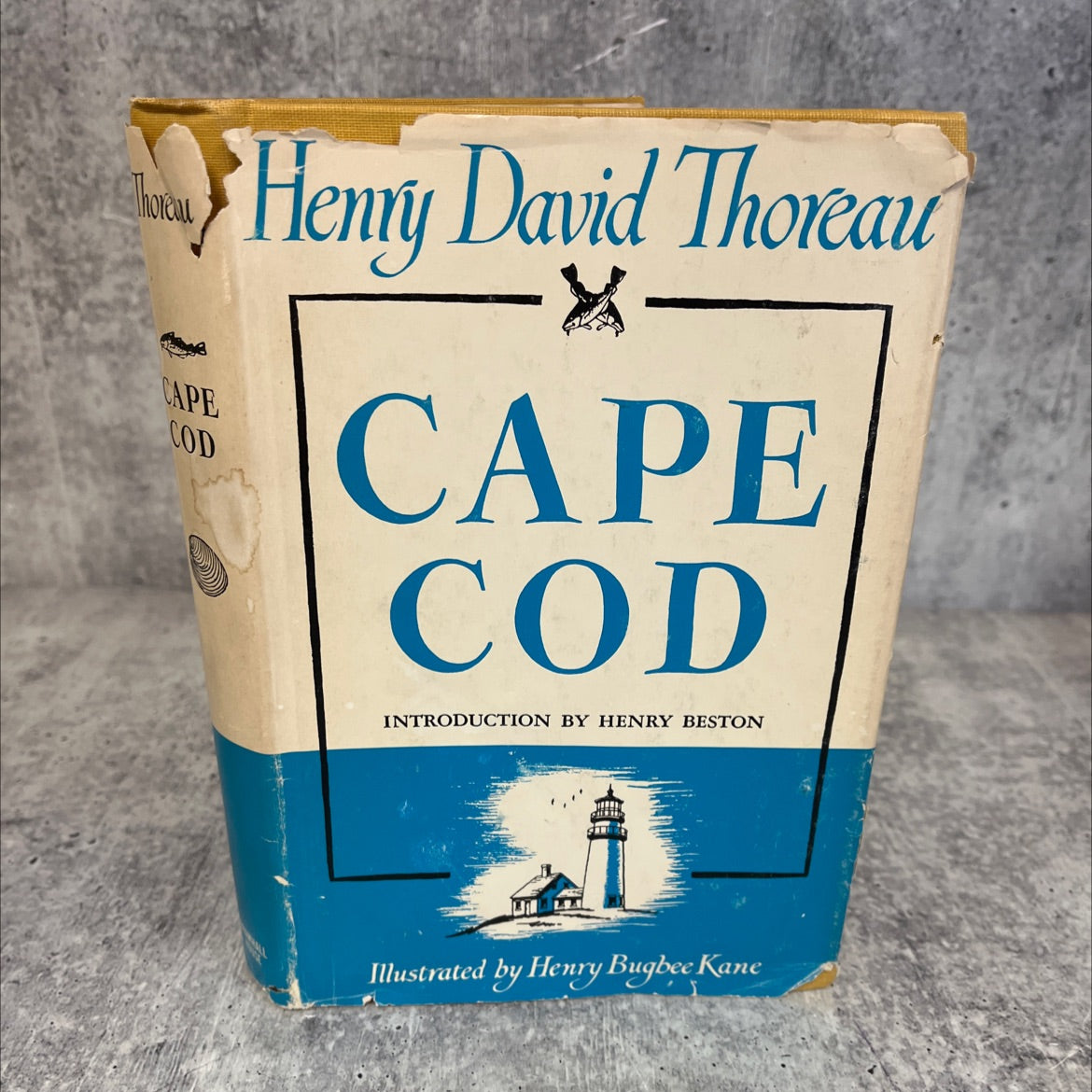 cape cod book, by henry david thoreau, 1951 Hardcover, Vintage image 1