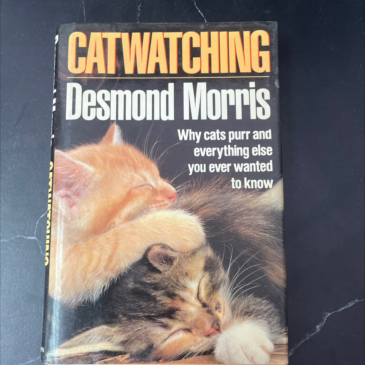 cat watching book, by desmond morris, 1987 Hardcover image 1