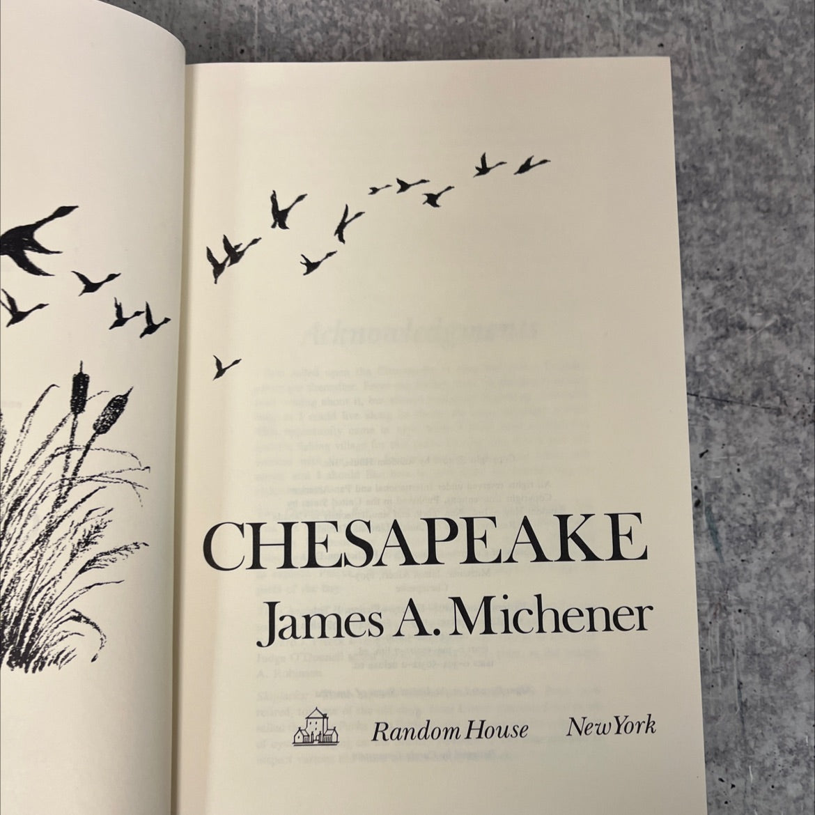 chesapeake book, by james a. michener, 1978 Hardcover, Vintage image 2