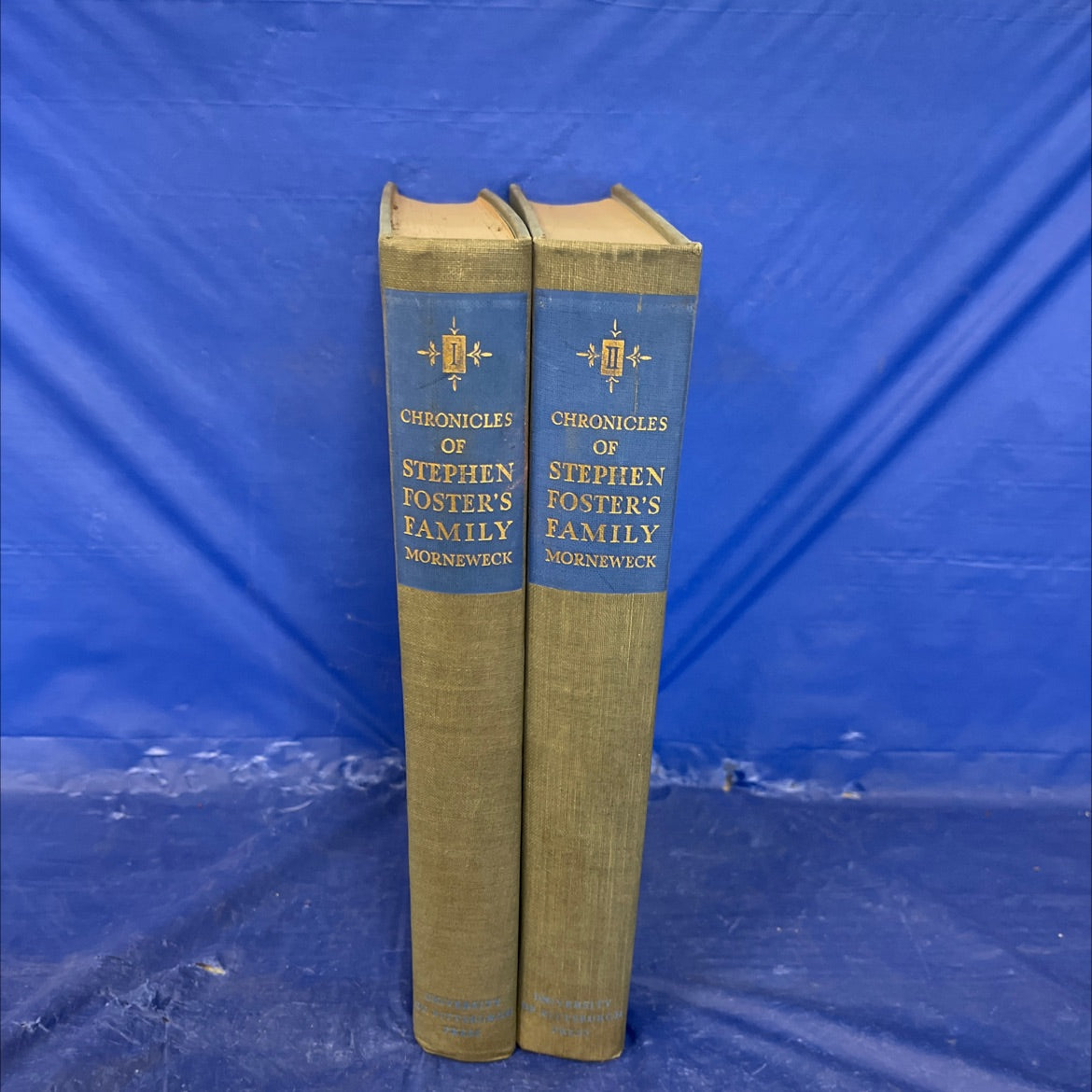 Chronicles of Stephen Foster’s Family Volumes 1 and 2 - chronicles of stephen foster's family book, by evelyn foster image 1