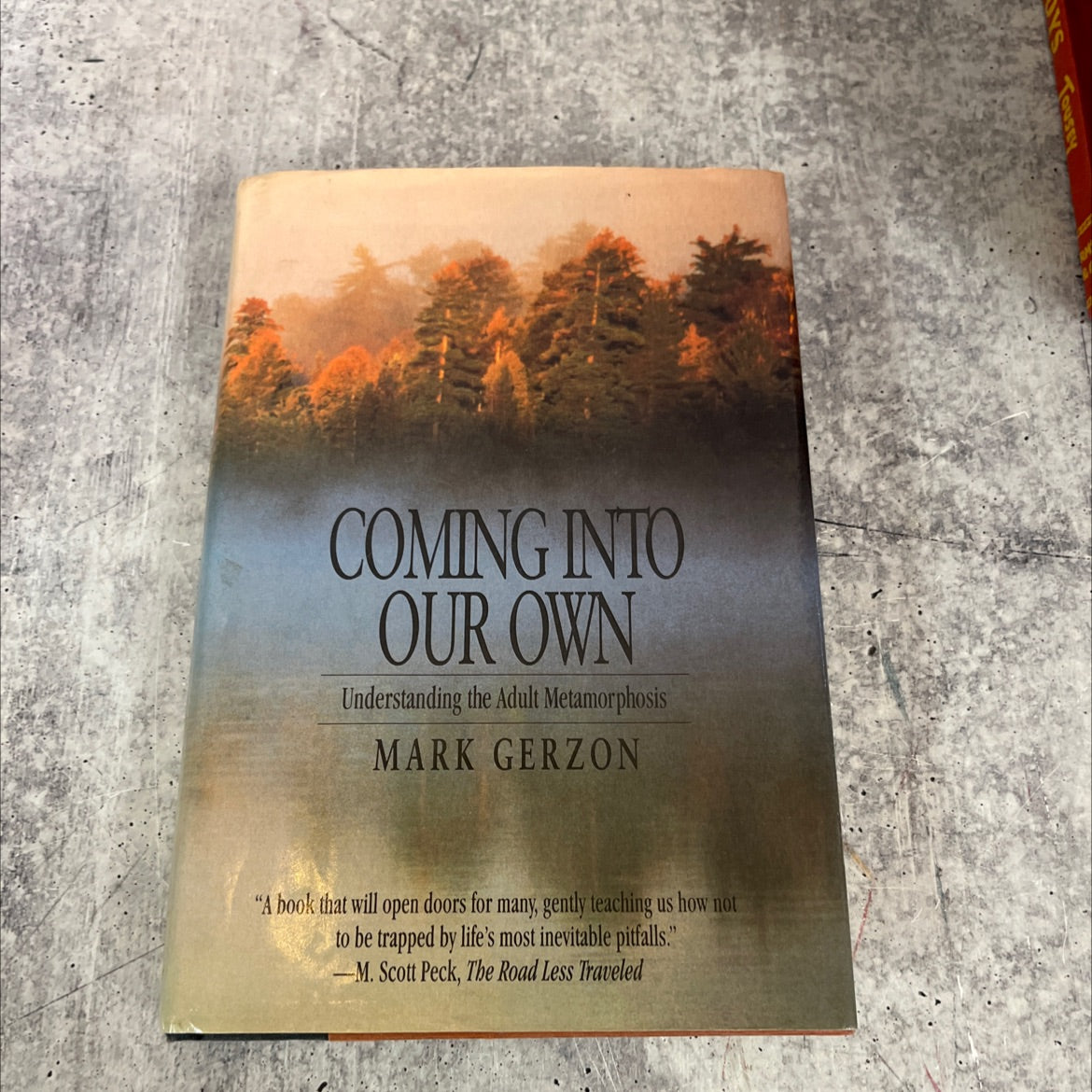 coming into our own book, by Mark Gerzon, 1992 Hardcover image 1