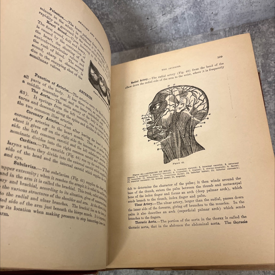 complete guide to prevention and cure of disease book, by b. frank scholl, anne mcfarland sharp, frank e. miller, 1920 image 4