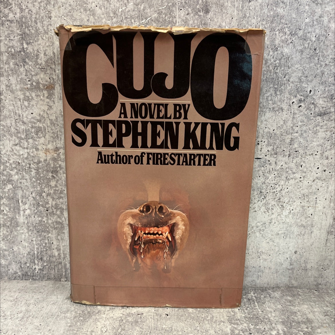 cujo book, by stephen king, 1981 Hardcover, First Edition image 1