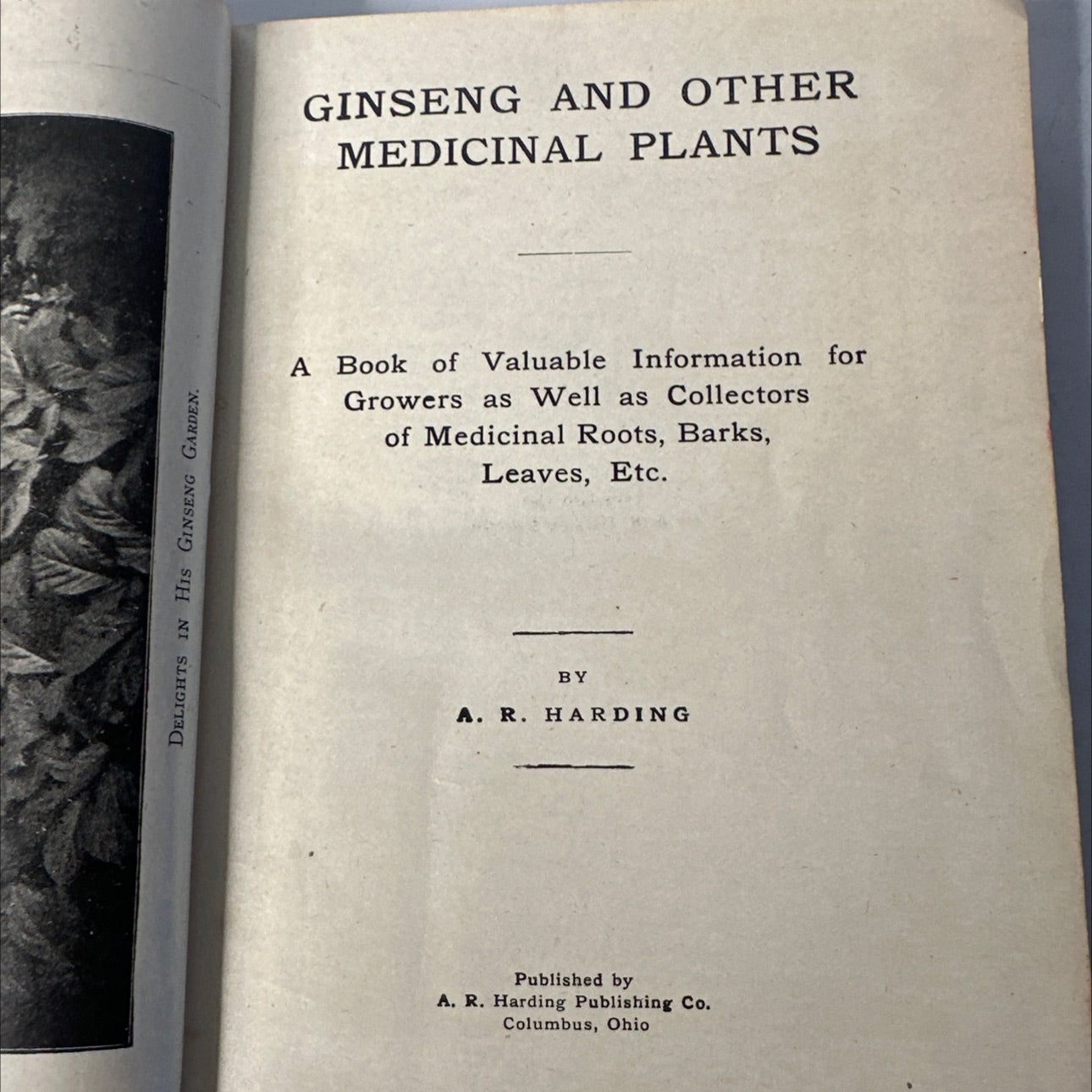 delights in his ginseng garden book, by A. R. Harding, 1908 Hardcover, Antique image 2