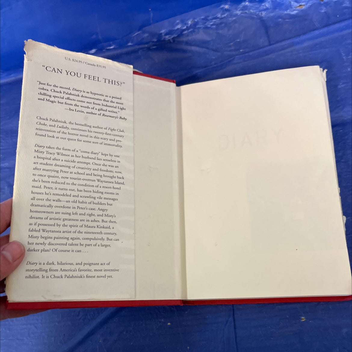 diary book, by chuck palahniuk, 2003 Hardcover image 4