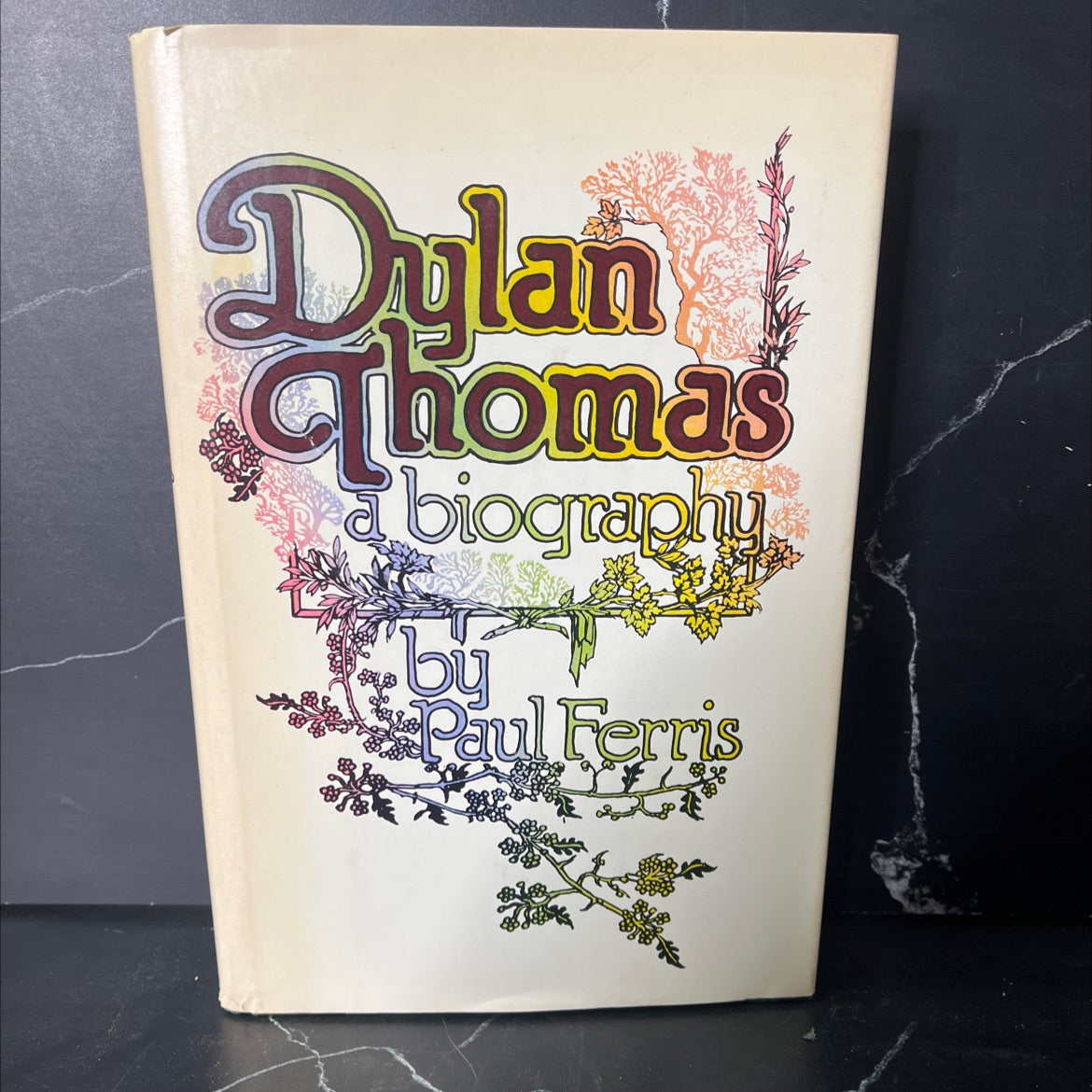 dylan thomas book, by Paul Ferris, 1977 Hardcover, Vintage image 1