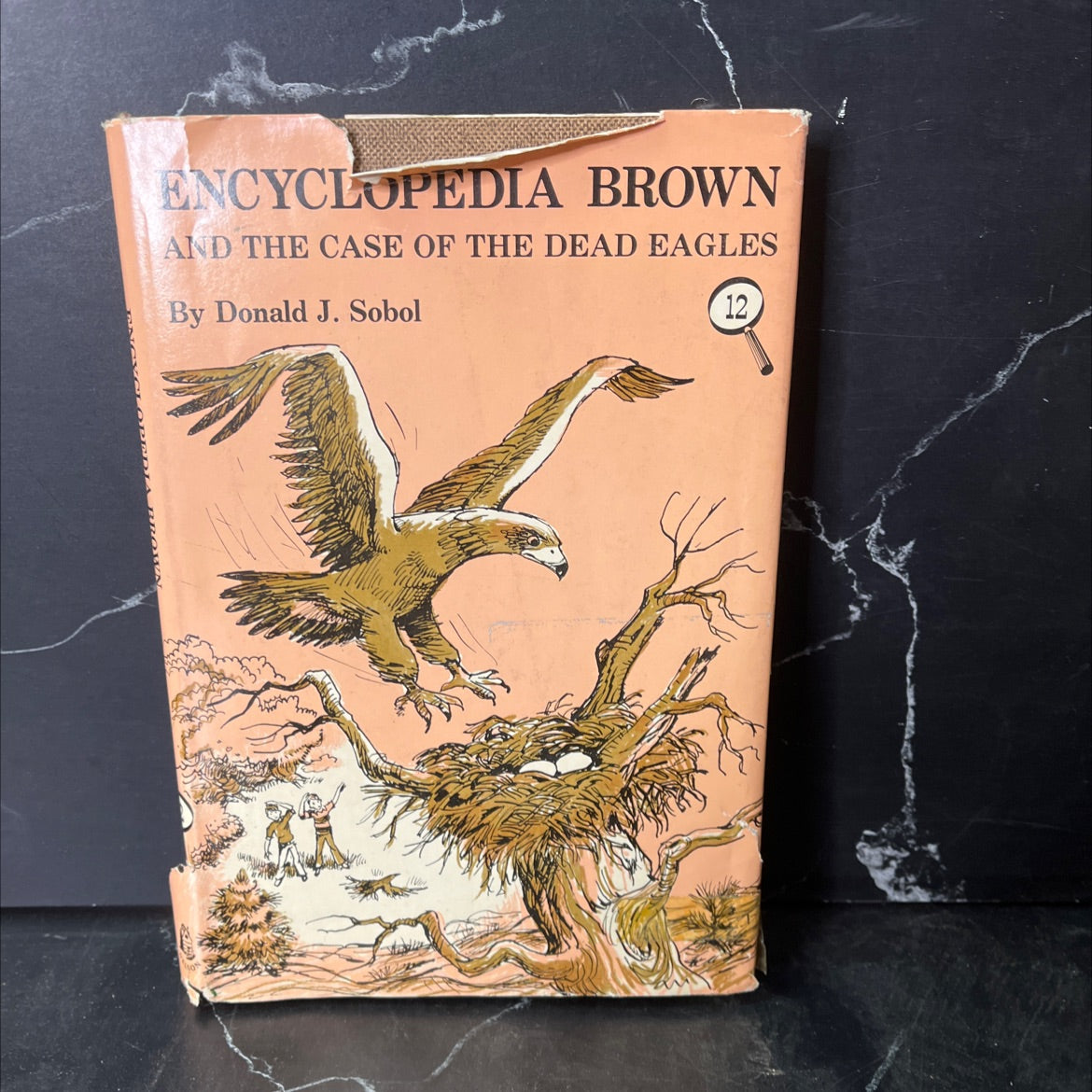 encyclopedia brown and the case of the dead eagles book, by donald j. sobol, 1975 Hardcover, First Edition, Vintage image 1