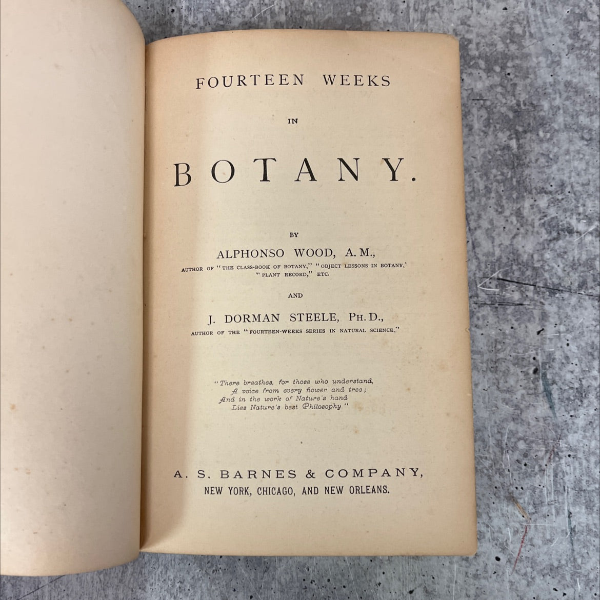 fourteen weeks in botany book, by alphonso wood, j. dorman steele, 1879 Hardcover, Antique, Heavily Used image 2