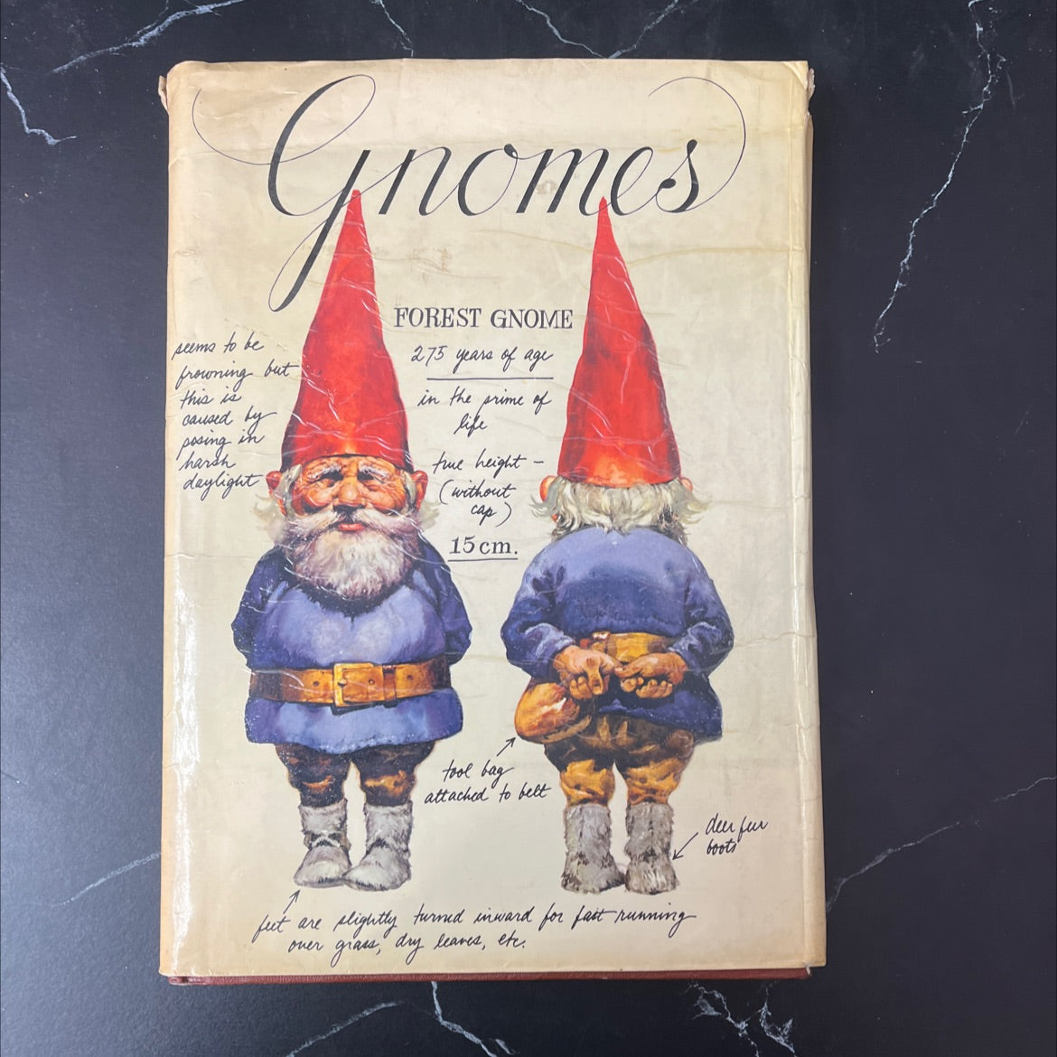 gnomes book, by Rien Poortvliet, 1977 Hardcover, Vintage image 1