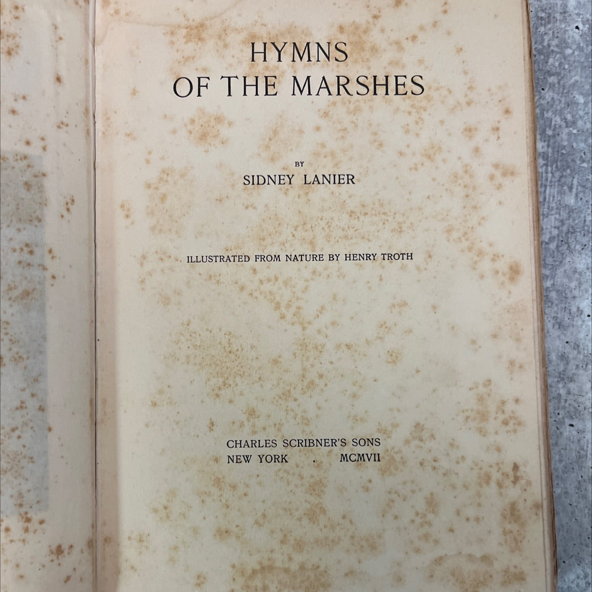 hymns of the marshes book, by sidney lanier, 1907 Hardcover, Antique image 2