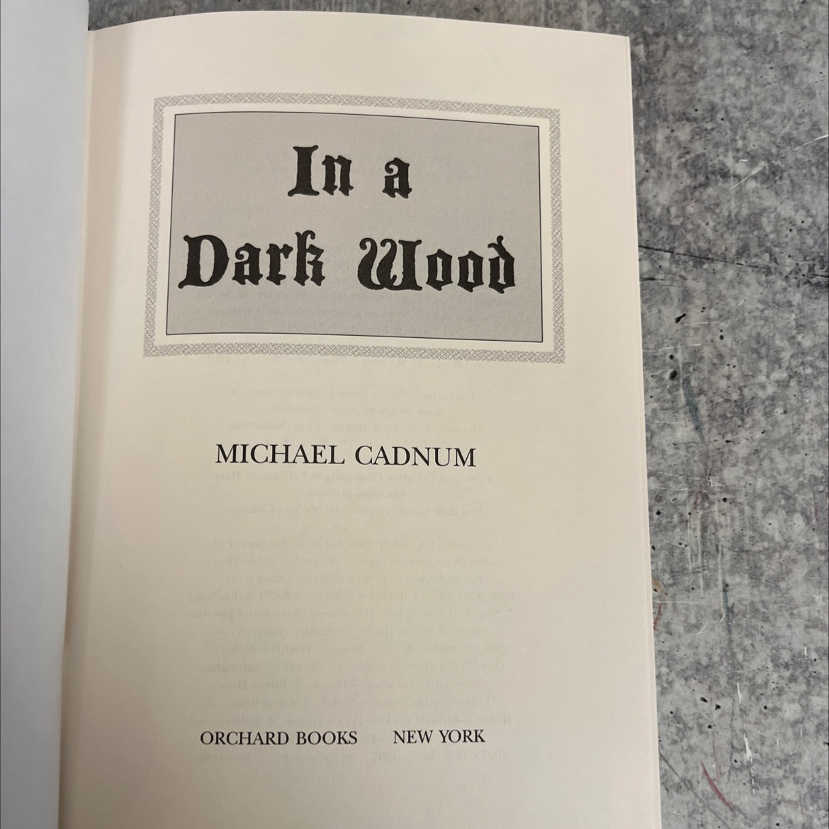 in a dark wood book, by michael cadnum, 1998 Hardcover image 2