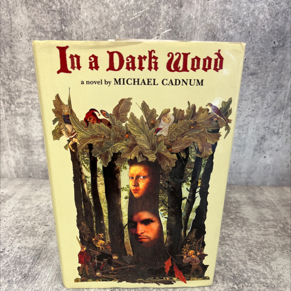 in a dark wood book, by michael cadnum, 1998 Hardcover image 1