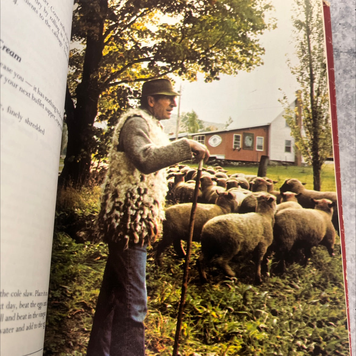 madame benoit cooks at home book, by jehane benoît, 1978 Hardcover image 4