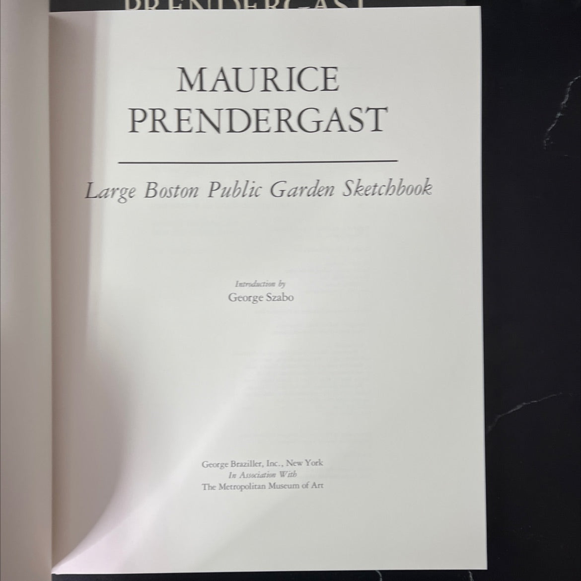 maurice prendergast large boston public garden sketchbook book, by maurice prendergast, 1987 Hardcover, First Edition, image 2