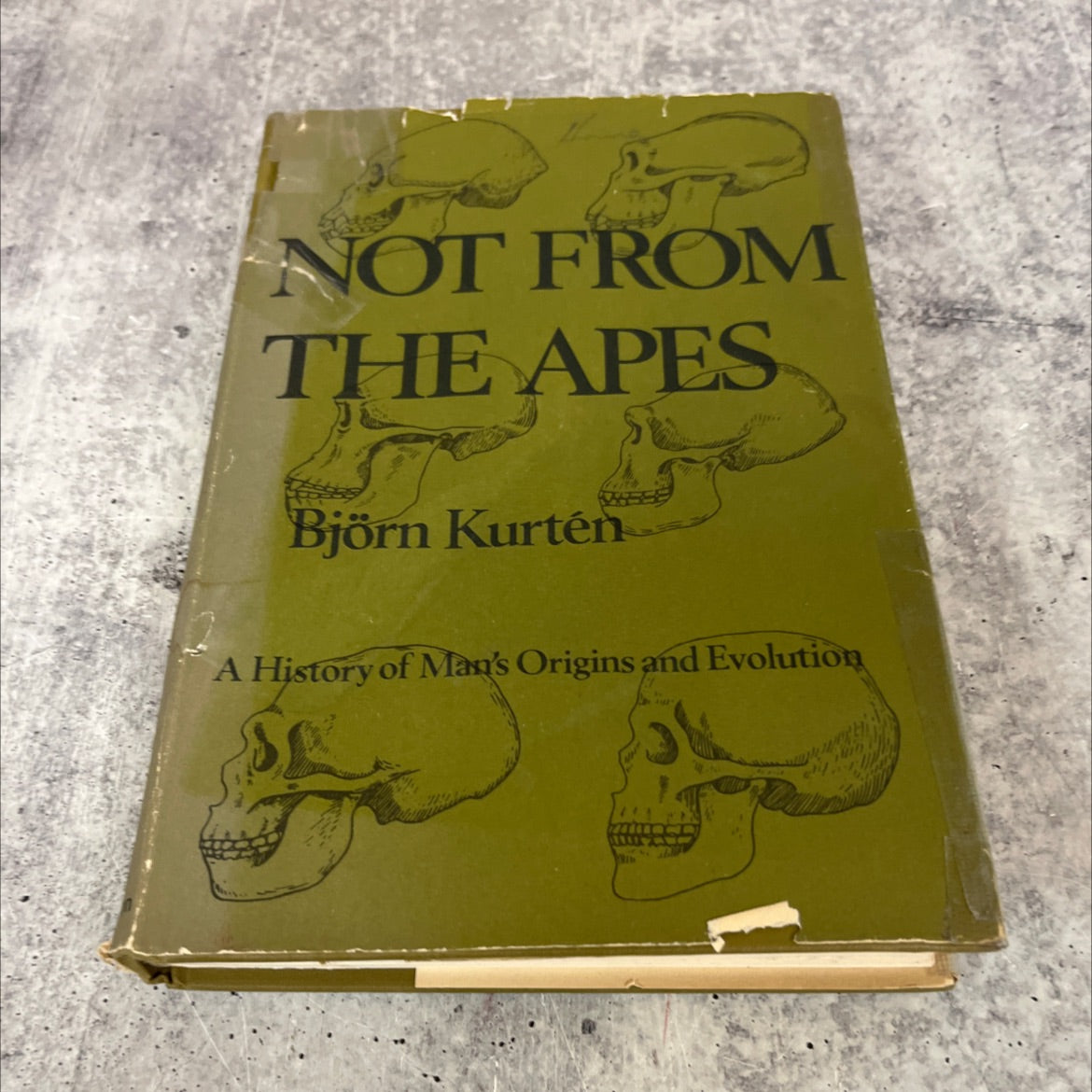 not from the apes book, by björn kurtén, 1972 Hardcover image 1