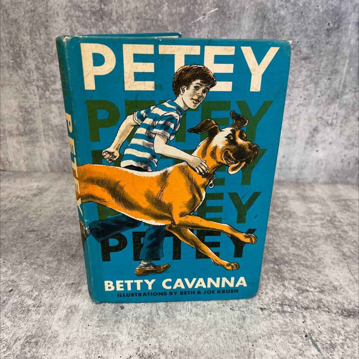 petey book, by betty cavanna, 1973 Hardcover, Vintage image 1