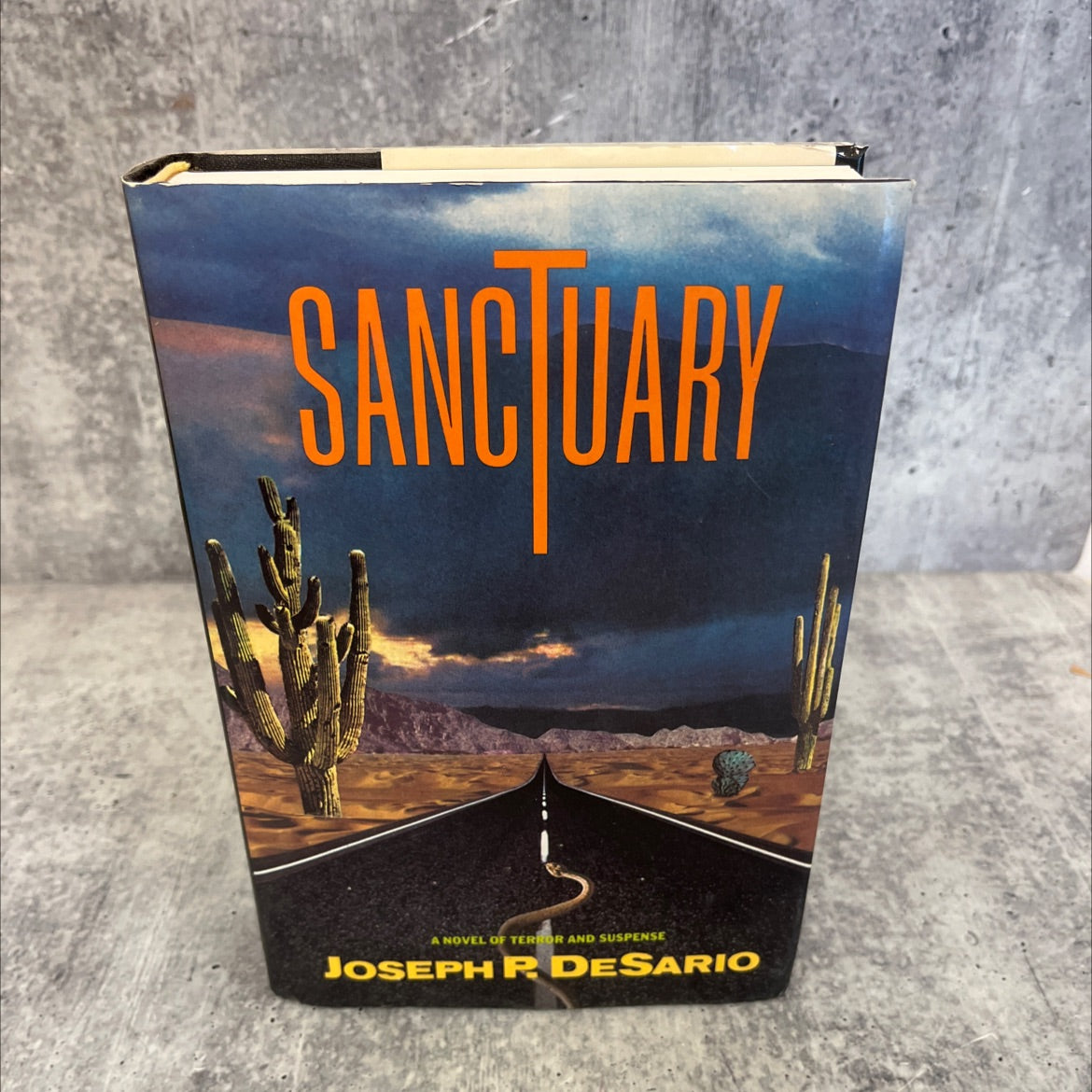 sanctuary book, by joseph p. desario, 1989 Hardcover image 1