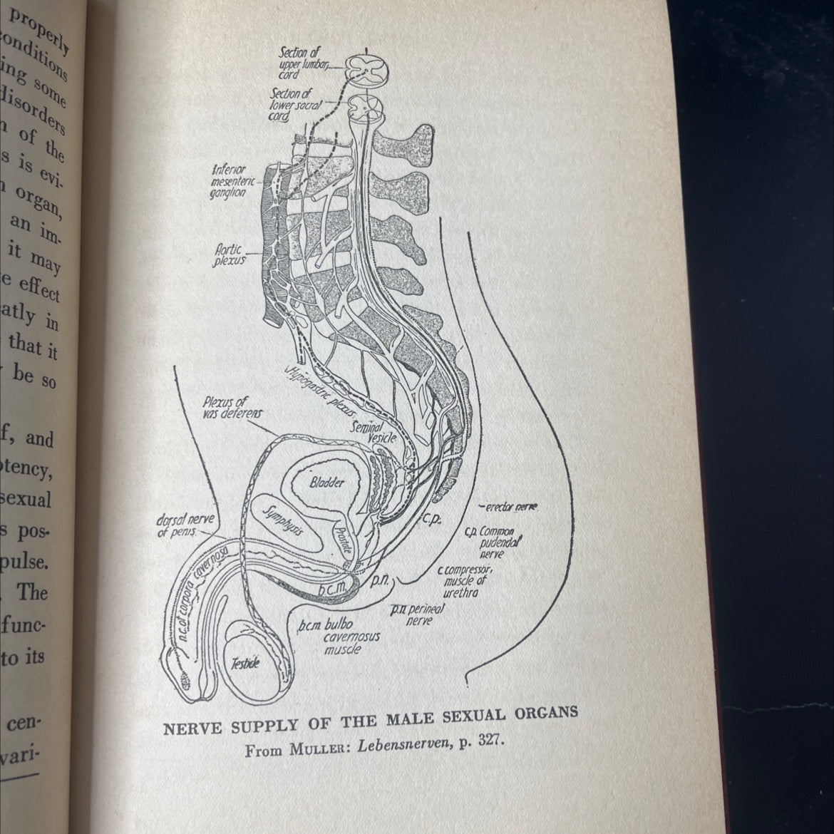 sexual power book, by chester tilton stone, m.d., 1937 Hardcover, Vintage image 4