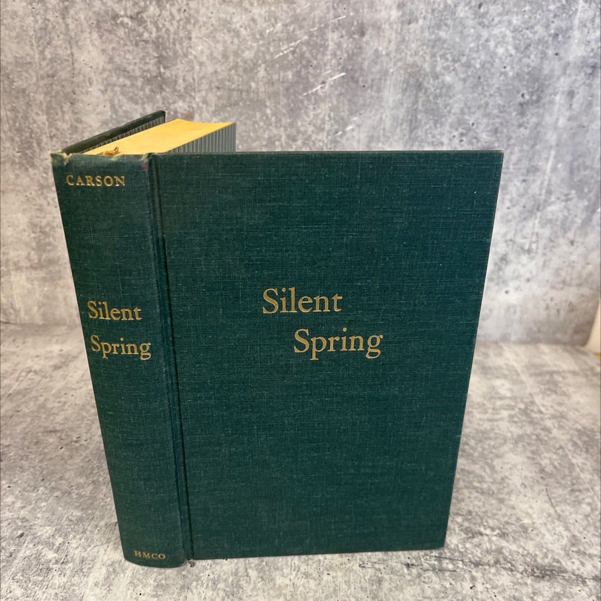 silent spring son wind us book, by rachel carson, 1962 Hardcover, Vintage image 1