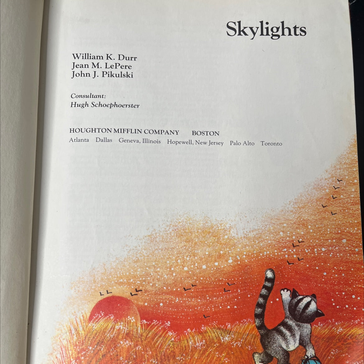 skylights book, by William K. Durr, Jean M. LePere, John J. Pikulski, 1981 Hardcover, Vintage image 2