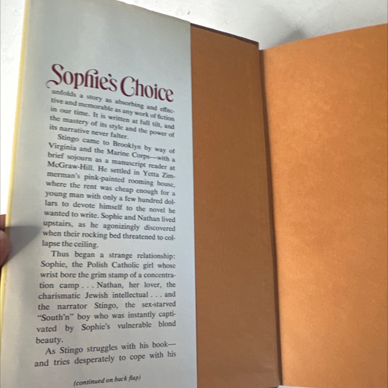 sophie's choice book, by william styron, 1979 Hardcover, First Edition image 4