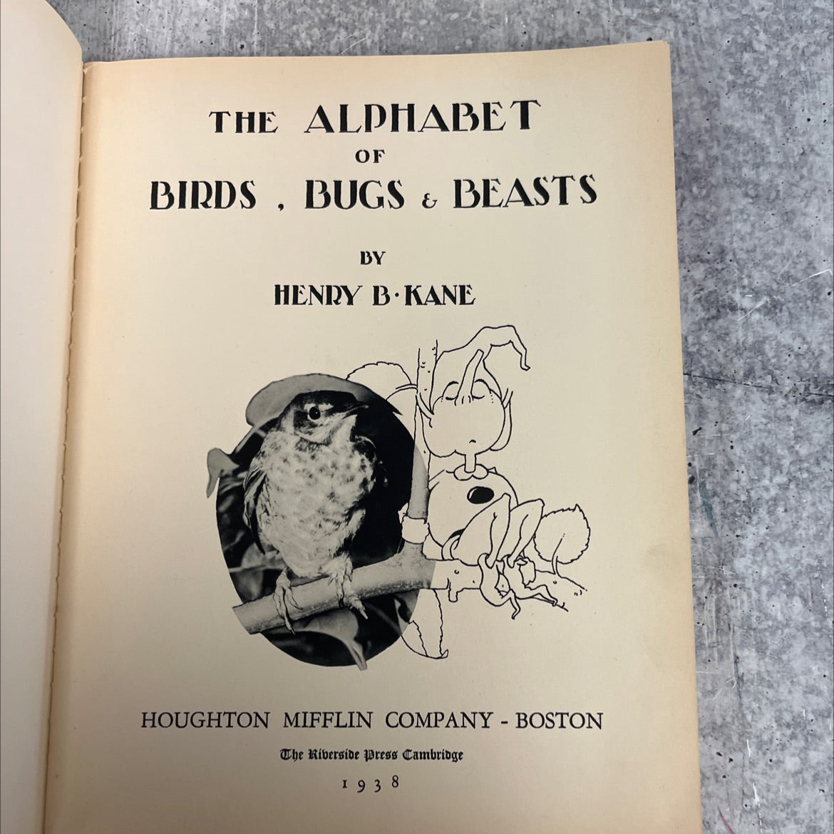 the alphabet of birds, bugs & beasts book, by henry b kane, 1938 Hardcover image 2