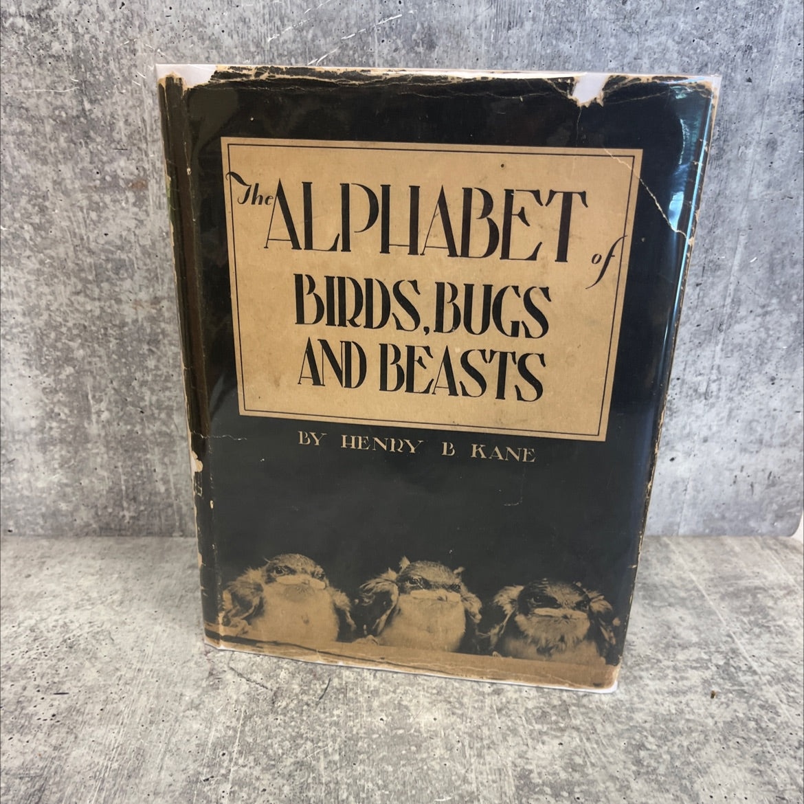 the alphabet of birds, bugs & beasts book, by henry b kane, 1938 Hardcover image 1