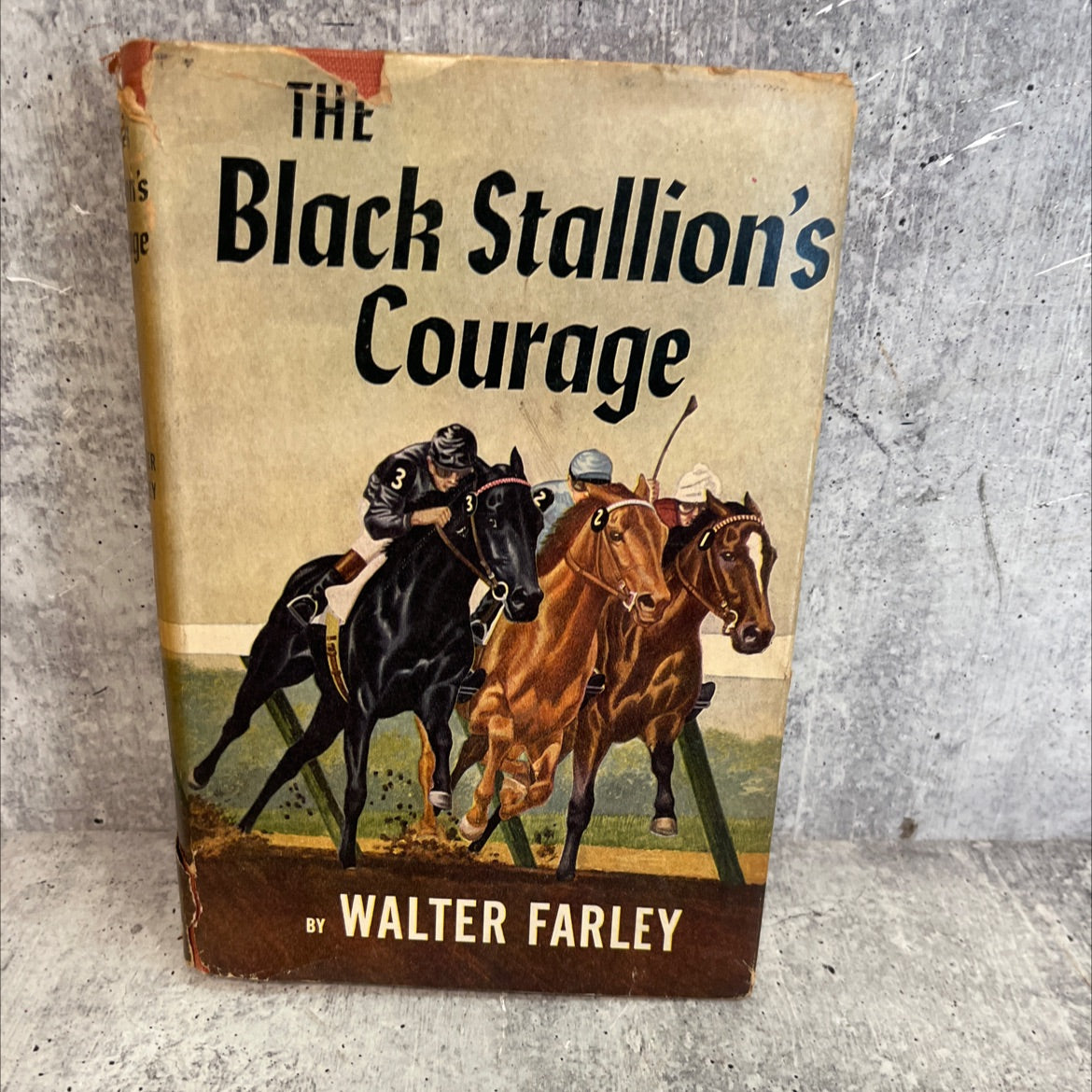 the black stallion's courage book, by Walter Farley, 1956 Hardcover, Vintage image 1