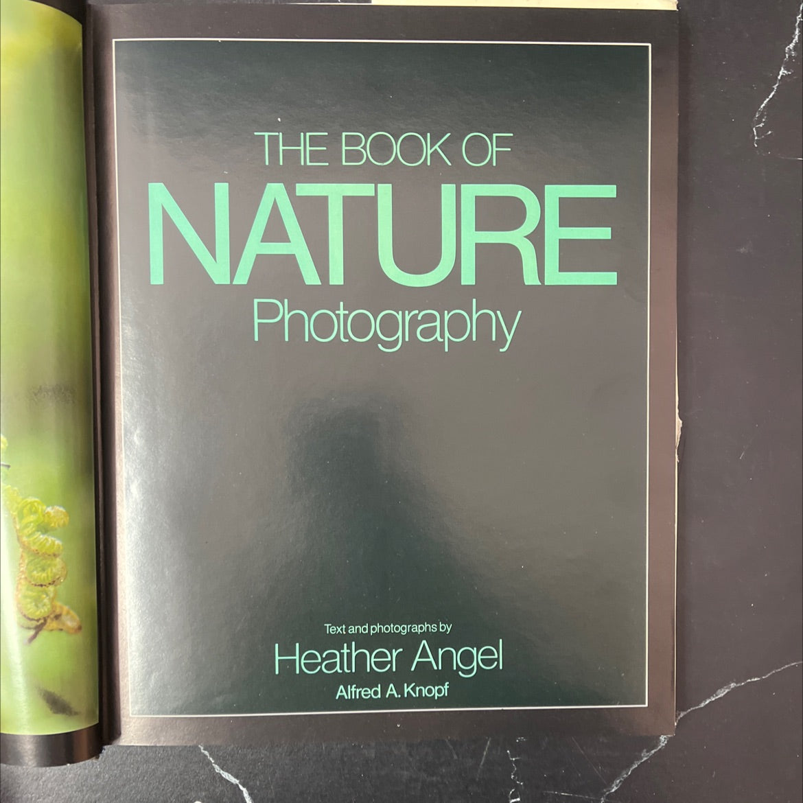 the book of nature photography book, by Heather Angel, 1982 Hardcover, Vintage image 2