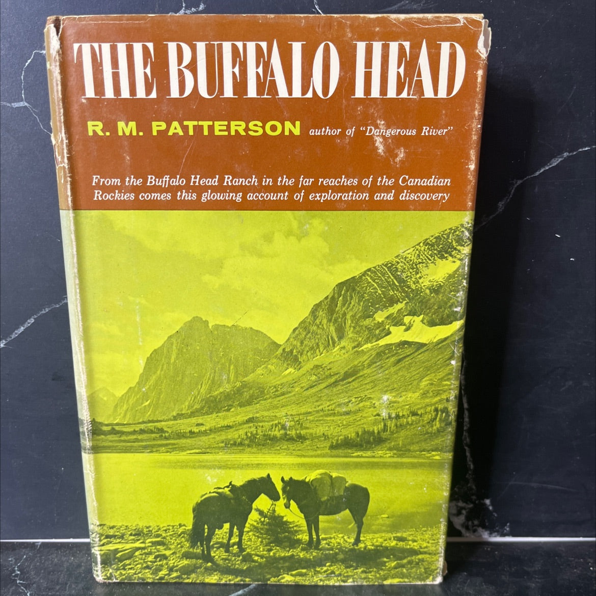 the buffalo head book, by r. m. patterson, 1961 Hardcover, Vintage image 1